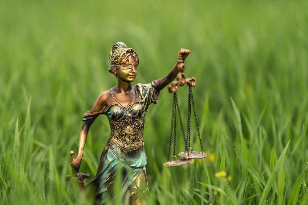 Le choix du statut juridique pour votre entreprise : un enjeu crucial