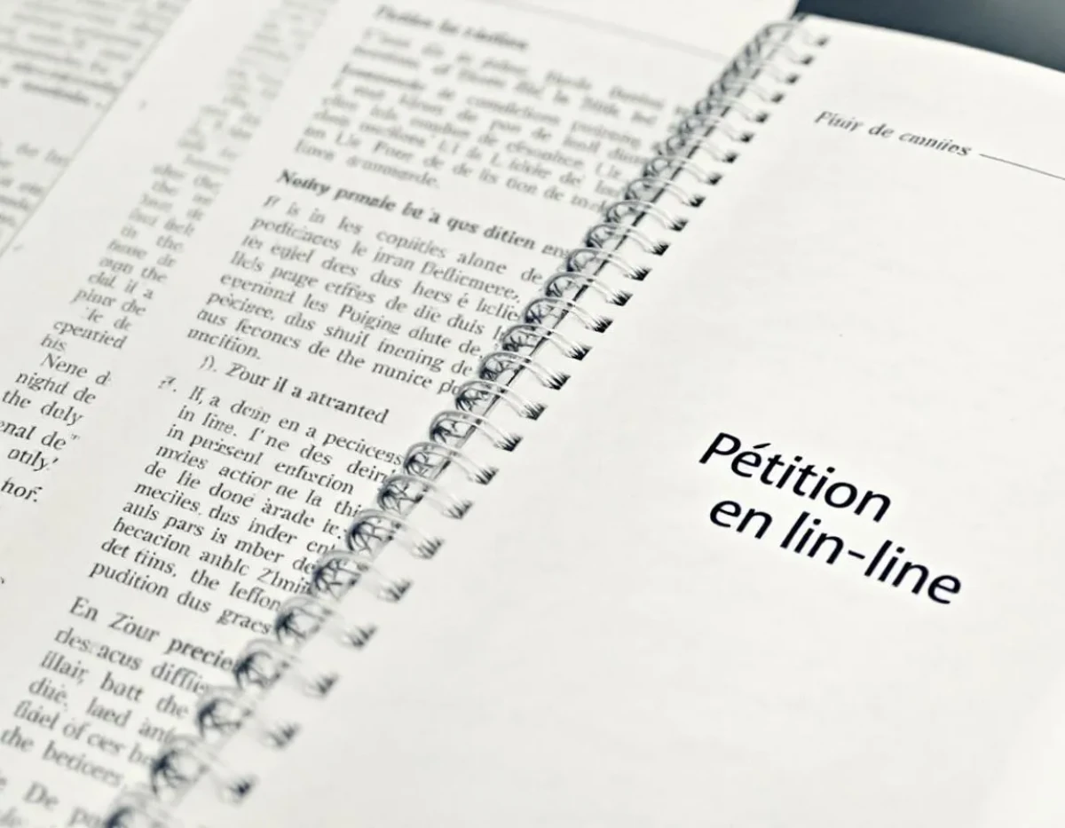 Pétition en ligne et conditions de recevabilité par les pouvoirs publics